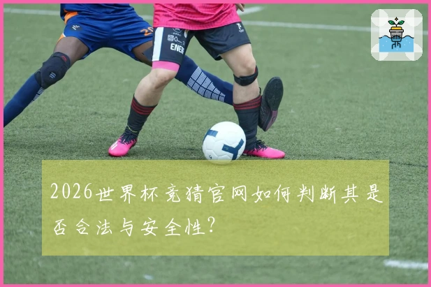 2026世界杯竞猜官网如何判断其是否合法与安全性？
