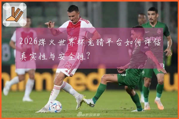 2026烽火世界杯竞猜平台如何评估真实性与安全性?